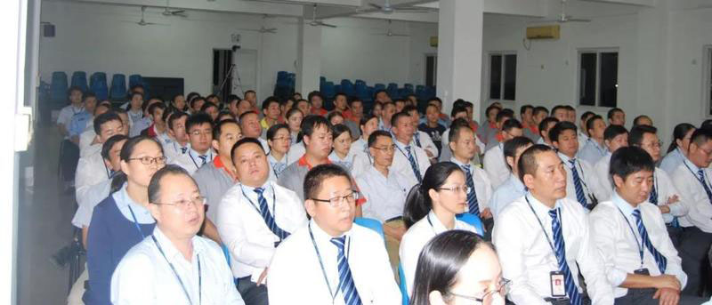 深圳大陽(yáng)集團(tuán)流程E化、智能決策BI”智造信息化“案例