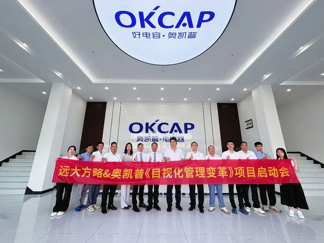 電子行業(yè) | 奧凱普攜手遠(yuǎn)大方略啟動(dòng)《目視化管理》咨詢項(xiàng)目